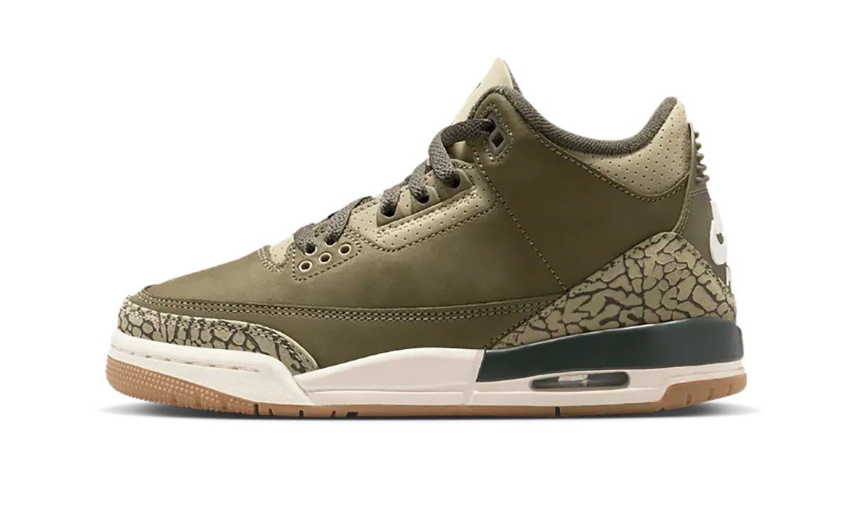 Air Jordan 3 TD "Family Affair" DM0968 202