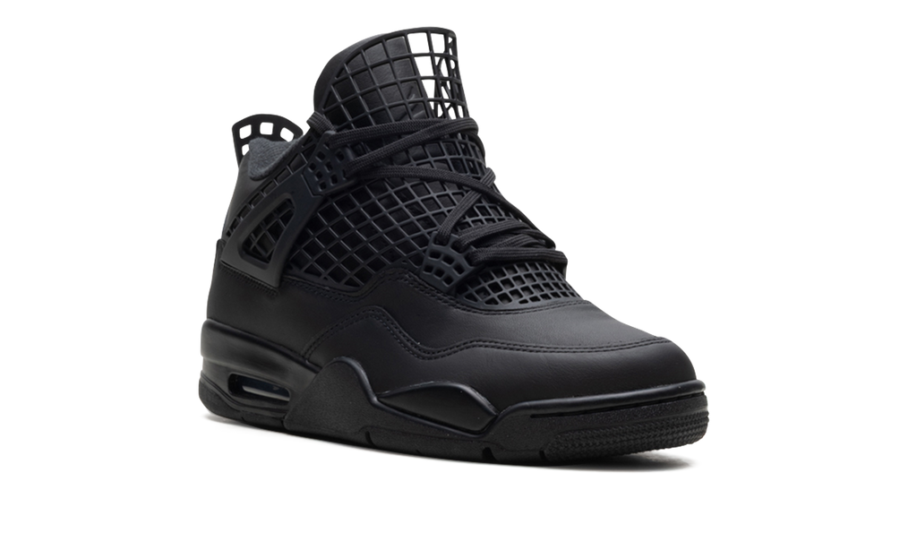 Air Jordan 4 WMNS "Net Black" FN7251 001