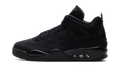 Air Jordan 4 Retro "Black Cat 2025" FV5029 010