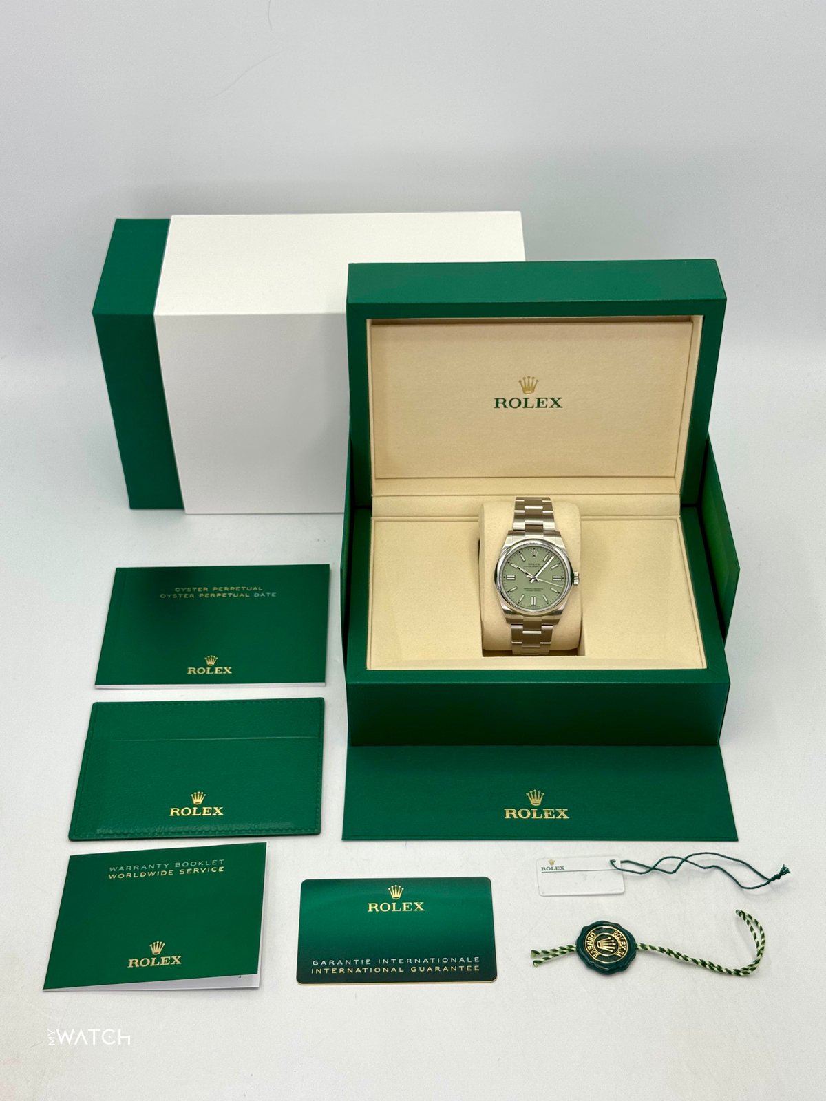 NEW 2026 Rolex Oyster Perpetual 41mm 134300 Pistachio Dial