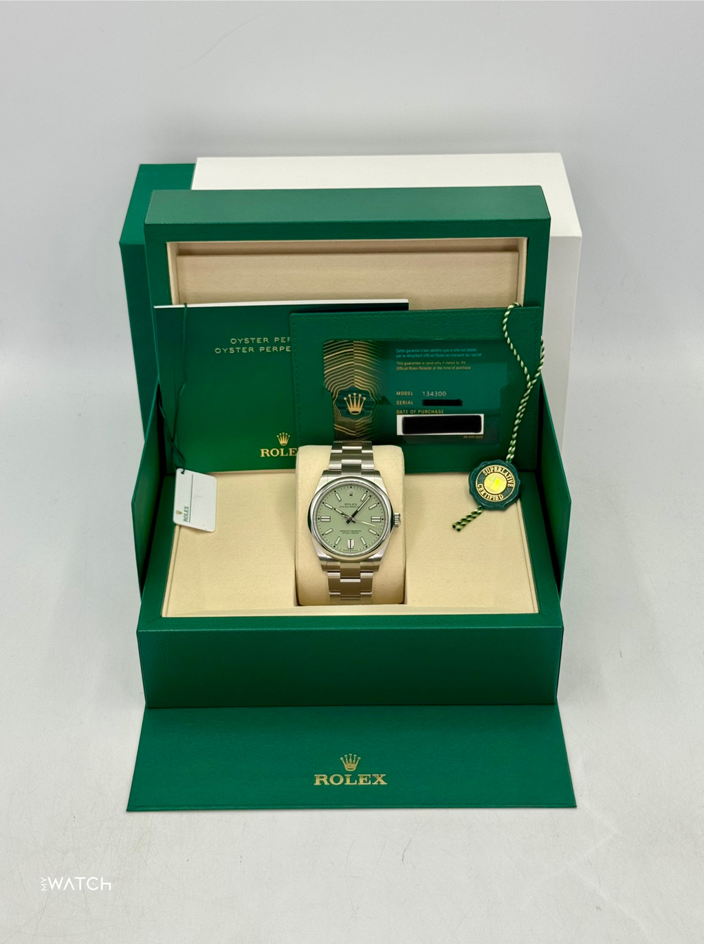 NEW 2026 Rolex Oyster Perpetual 41mm 134300 Pistachio Dial