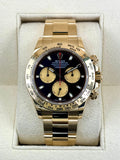 2023 Rolex Daytona "Paul Newman" 40mm 116508 Yellow Gold Black Dial