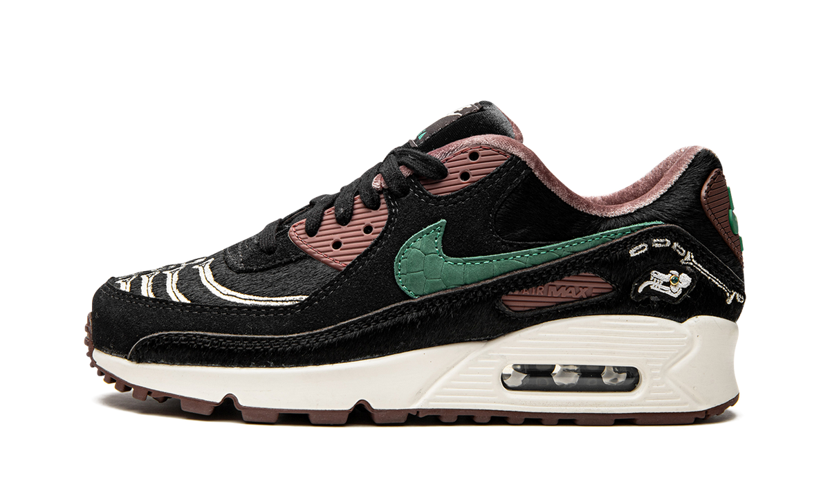 AIR MAX 90 SE WMNS "Siempre Familia" DO2154 010