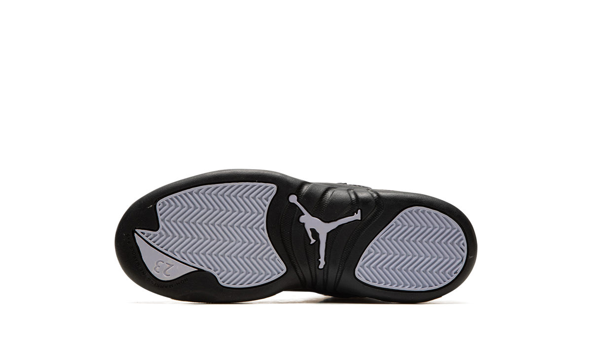 Air Jordan 12 PS "Floral PS" DR6954 100