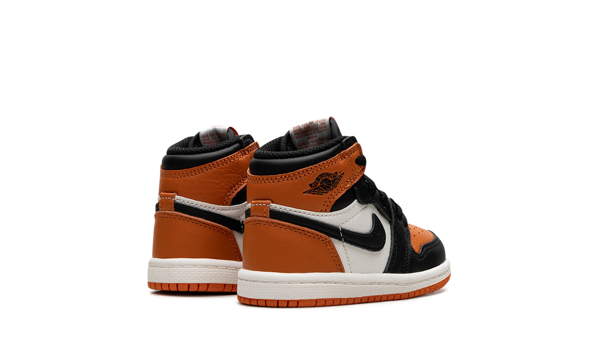 Air Jordan 1 Retro High OG TD "Shattered Backboard" FD1413 008