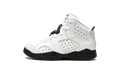 Air Jordan 6 Retro PS "Alligator" 384666 110