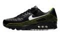 Air Max 90 "Tiempo 2005" IU0523 010