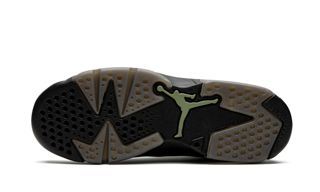 Air Jordan 6 Retro GS "Alligator" 384665 110