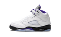 Air Jordan 5 Retro GS "Concord" 440888 141