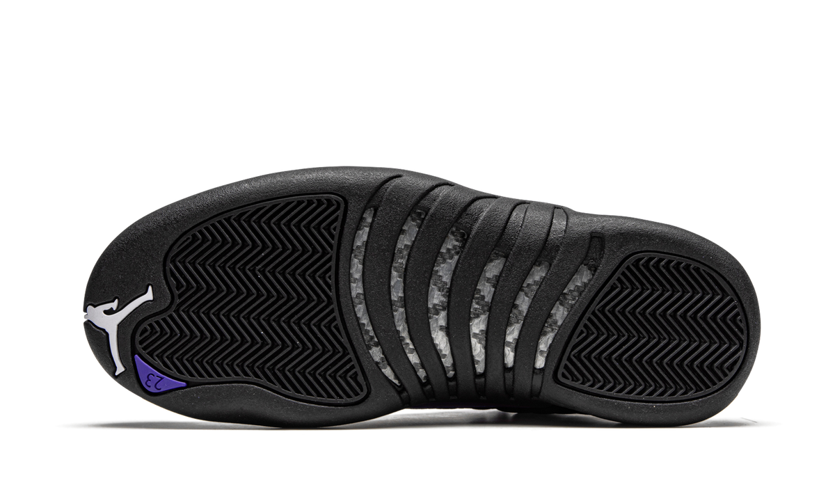 Air Jordan 12 Retro "Dark Concord" CT8013 005