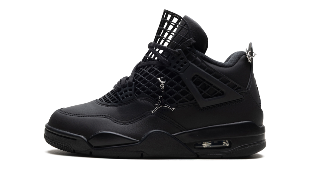 Air Jordan 4 WMNS "Net Black" FN7251 001