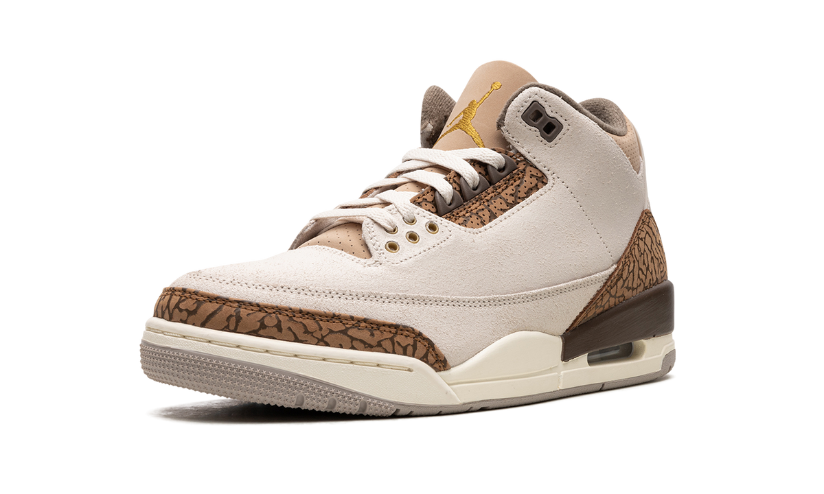 Air Jordan 3 "Palomino" CT8532 102