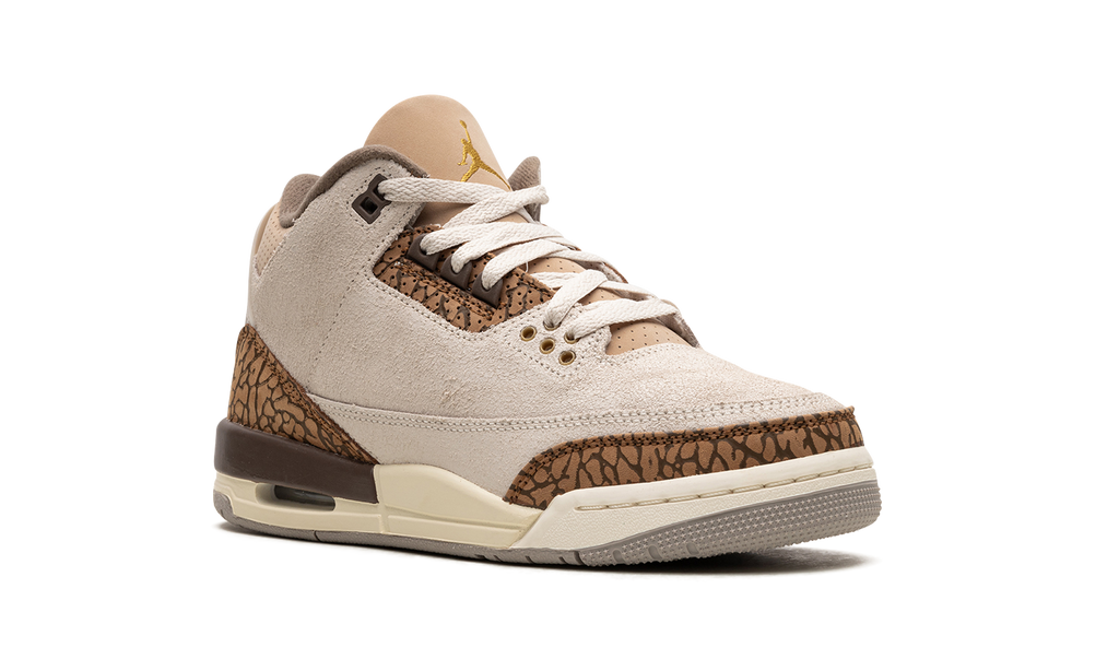 Air Jordan 3 GS "Palomino" DM0967 102