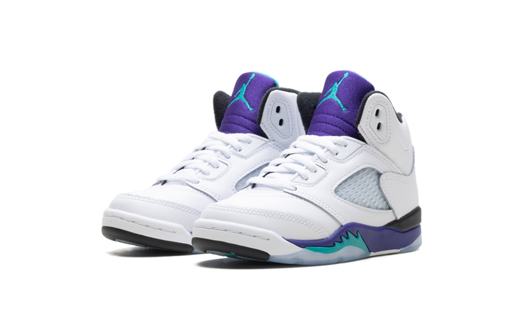 Air Jordan 5 Retro PS "Grape" HQ7979 100